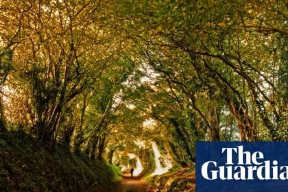 Autumn by Kate Mosse review – tender reflections on time and place