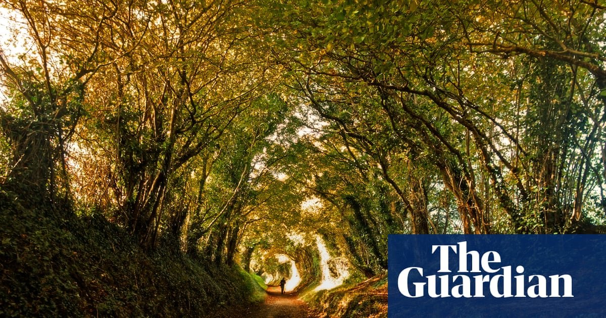 Autumn by Kate Mosse review – tender reflections on time and place