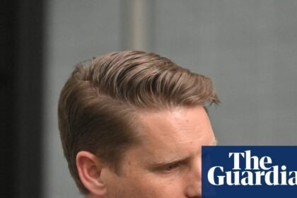 Andrew Hastie says AI advised him to reply ‘congratulations!’ to man who planned to end life with assisted dying