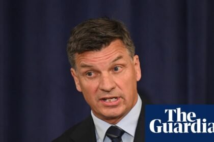 Angus Taylor distances himself from Andrew Bragg’s proposal to let first home buyers use super