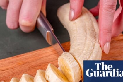Gene-edited bananas that don’t go brown could hit UK supermarkets