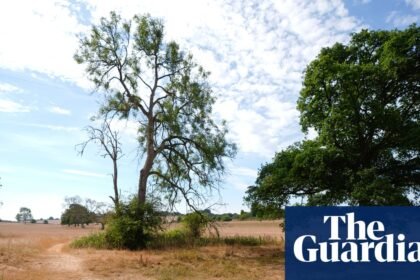 Wildlife will be affected by current drought for years to come, UK government says