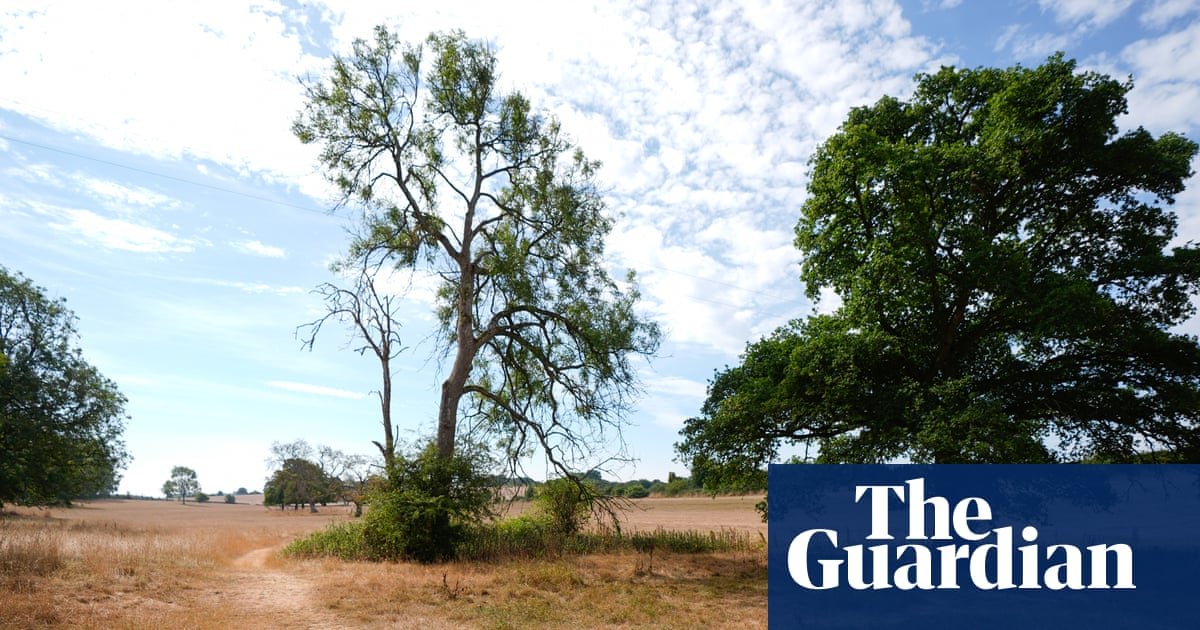 Wildlife will be affected by current drought for years to come, UK government says