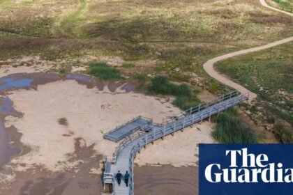 Skylarks and sandwich terns among new birdies on reserve created from ‘boring old golf course’