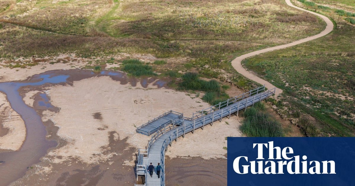 Skylarks and sandwich terns among new birdies on reserve created from ‘boring old golf course’