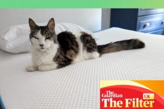 The best mattress toppers for a more comfortable night’s sleep, tested
