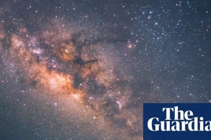 On the Equality of All Things by Carlo Rovelli review – a physicist’s guide to life, the universe and everything