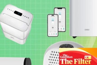 The best dehumidifiers: 14 favourites to beat damp and cut bills, tested