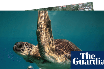 Robot fashion models and freediving with turtles: photos of the day – Tuesday