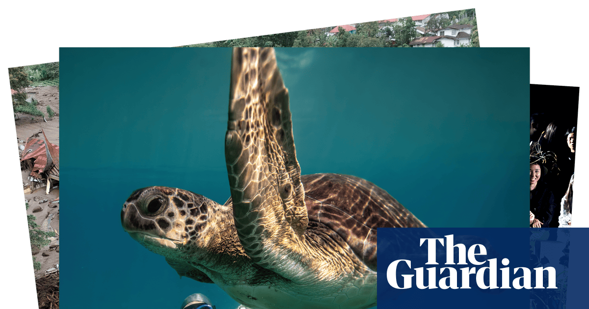 Robot fashion models and freediving with turtles: photos of the day – Tuesday