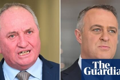 Senior Liberals rubbish Barnaby Joyce’s claim of talks over deal with One Nation as ‘figment of his imagination’