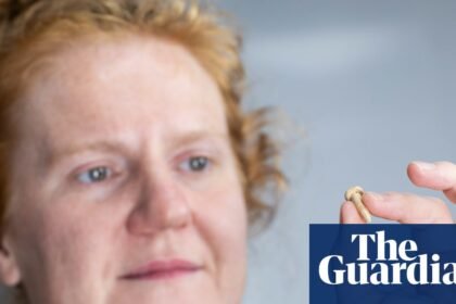 Glimpses into lives of Roman surburbanites in Bath revealed in rare finds