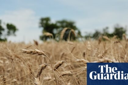 US wheat farmers navigate uncertainty amid drought and geopolitical chaos