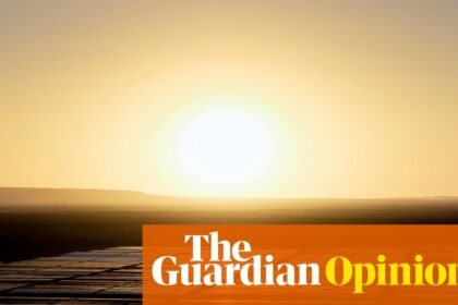 The climate fight has one great ally. You just can’t look at it directly | Bill McKibben