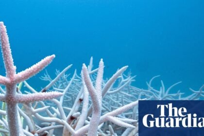 World’s seas heated by a record 23 zettajoules last year