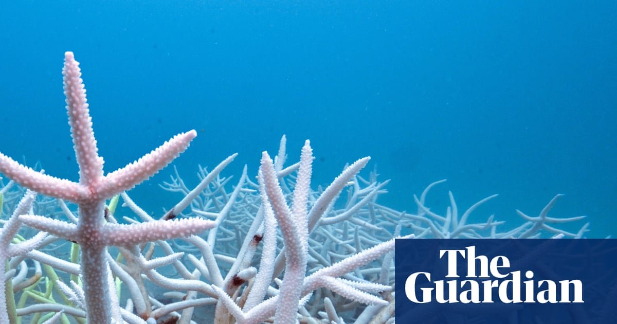 World’s seas heated by a record 23 zettajoules last year