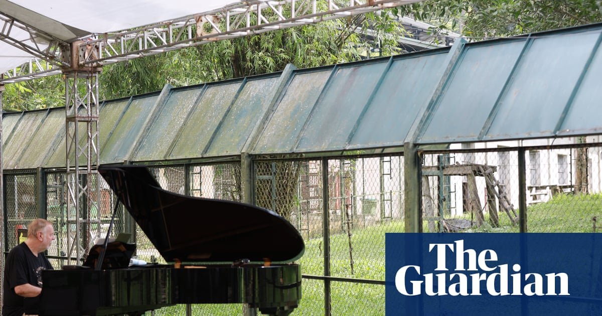 Rescued bears enjoy private piano concert – video