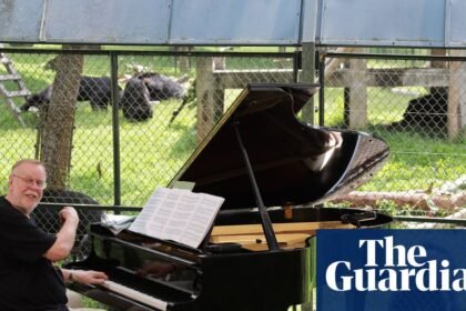 Rick Wakeman performs piano concert to 150 rescued moon bears in Vietnam