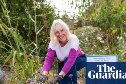 ‘It’s transformed the village’: the volunteers greening up Britain’s train stations