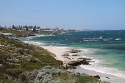 Swimmer missing after suspected shark attack off Australian west coast