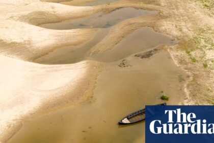 The world’s rivers are at breaking point. Can we save them before it is too late?