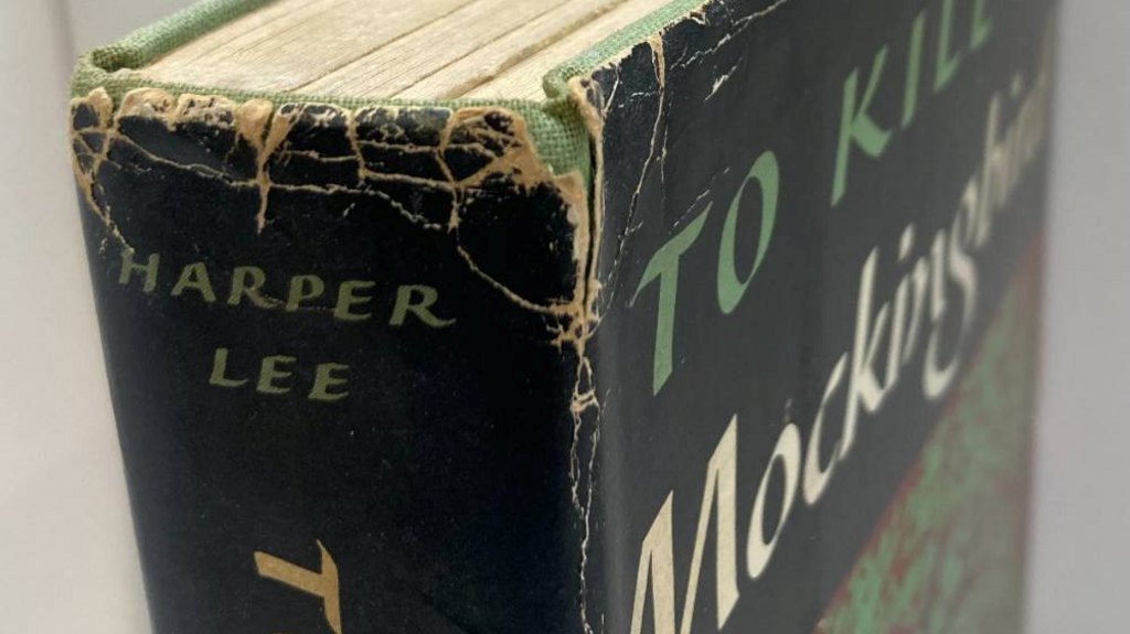 Harper Lee first edition novel found in Oxfam shop