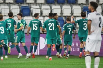 Win in Georgia a 'big step' for Northern Ireland