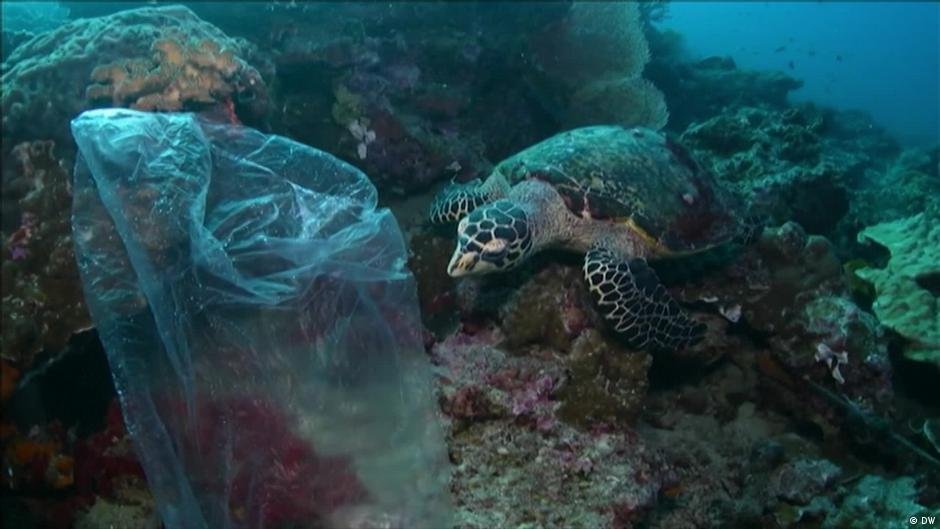 World lagging on key UN biodiversity targets