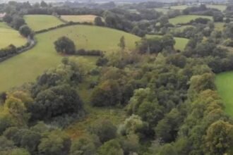 Nature reserve to double in size, thanks to gift
