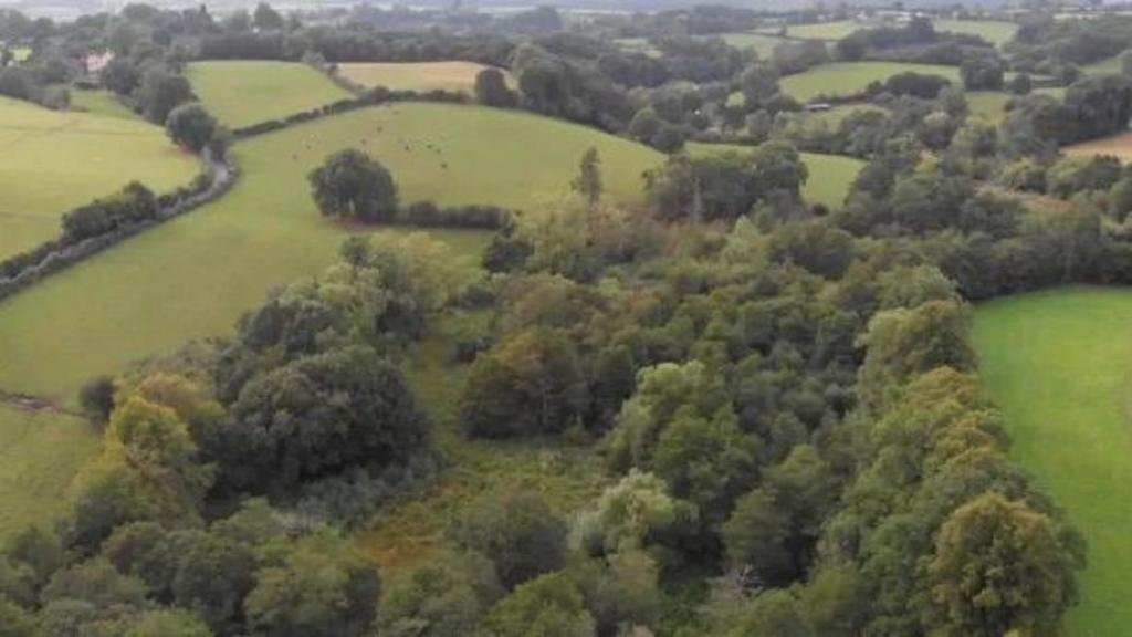 Nature reserve to double in size, thanks to gift