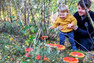 Why families are being urged to look closer on autumn walks