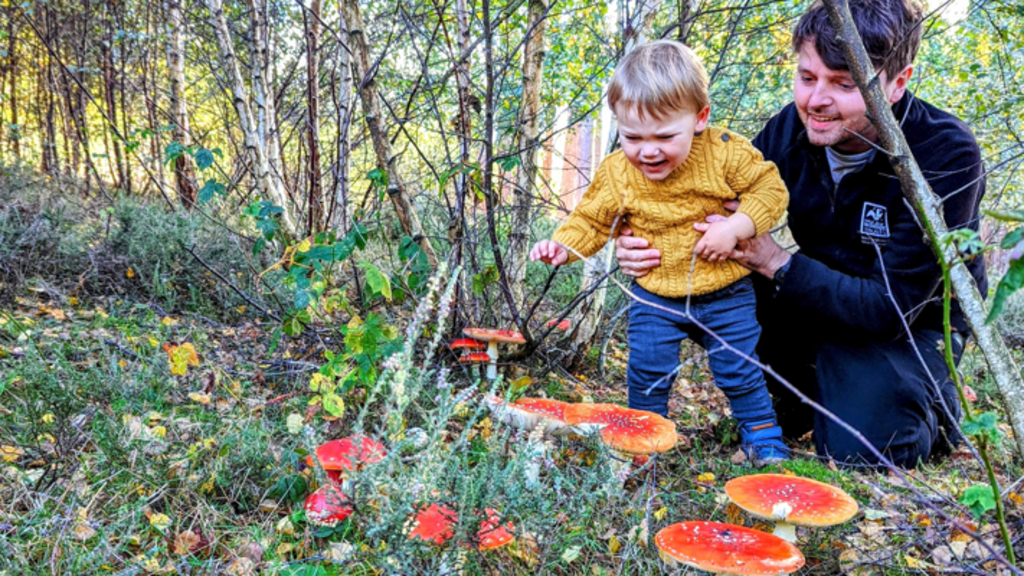 Why families are being urged to look closer on autumn walks