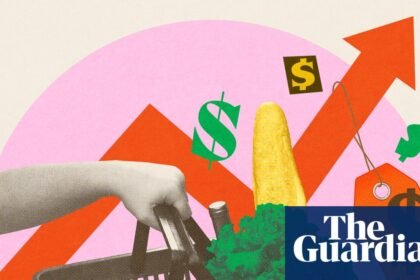 ‘I pay a lot more for fewer and fewer items’: five US shoppers on their food budgets
