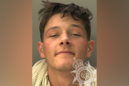 Driver, 20, jailed after dashcam filmed 'horrific' head-on crash which left victim with PTSD