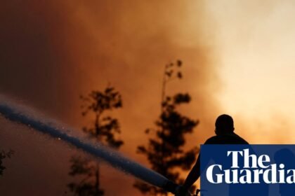 Babies ‘will face almost twice as much’ extreme fire weather in Europe than great-grandparents