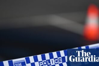 Man charged with stabbing murder of 90-year-old woman in Bondi Beach amid spate of alleged domestic violence killings