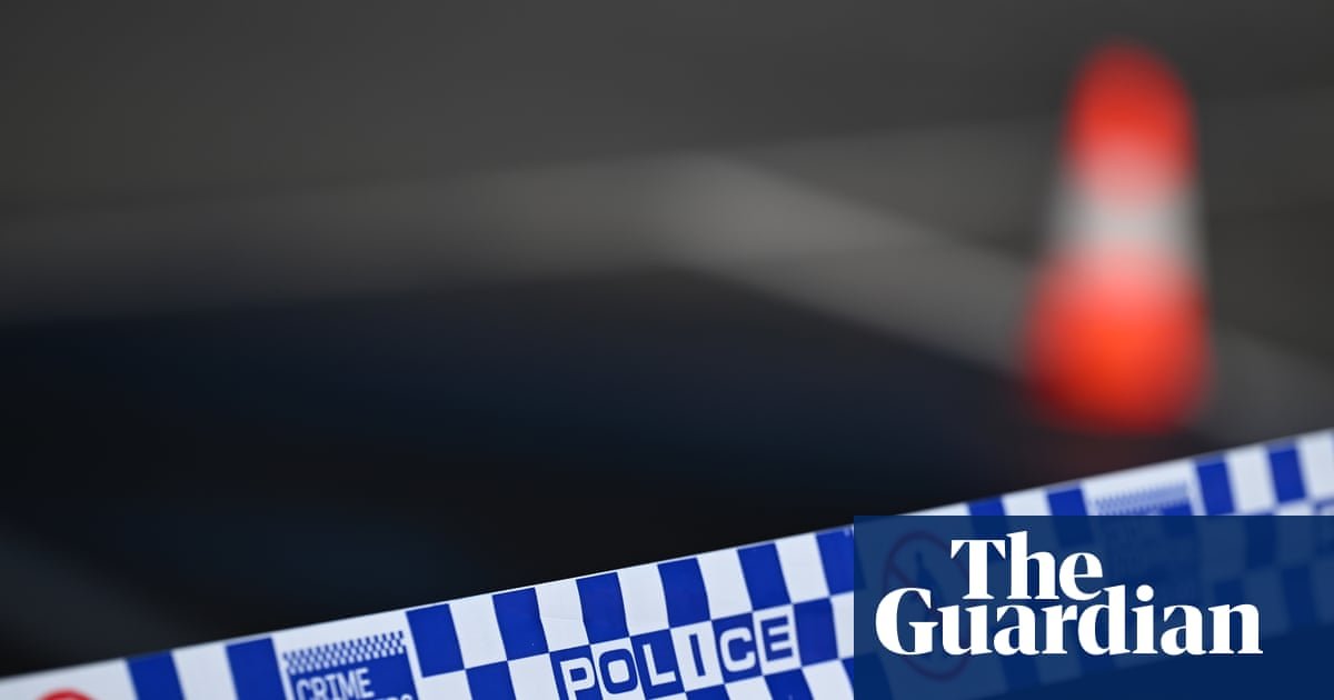 Man charged with stabbing murder of 90-year-old woman in Bondi Beach amid spate of alleged domestic violence killings