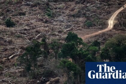 ‘Planetary boundaries’ necessary for flourishing of life have been massively breached, scientists warn