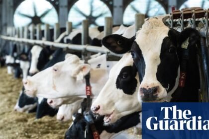 US ban on Canadian imports likely to weaken already fragile relationship