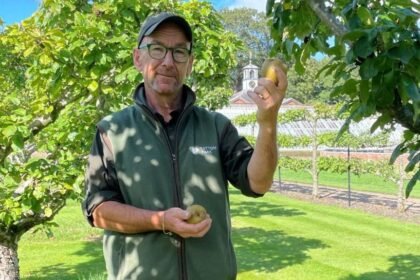 Apple Day called off after poor harvest