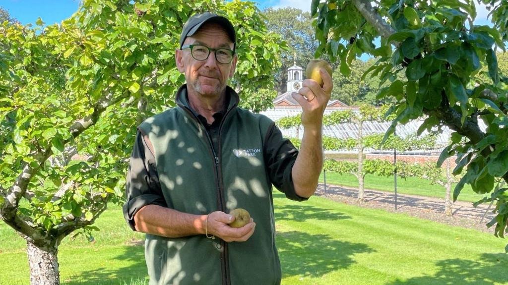 Apple Day called off after poor harvest