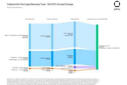 Whitehats move 52 bitcoin from the Coldcard hack to a recovery trust