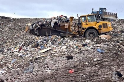 Waste sector crisis could see rubbish piling up on streets, experts warn