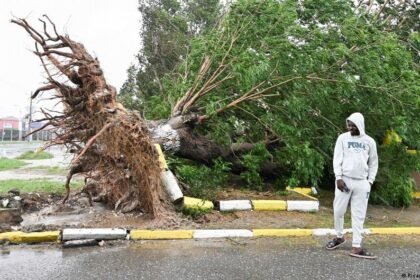 El Nino explained: How the weather pattern affects hurricanes and tropical storms