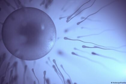 Male infertility is 'grossly underreported'
