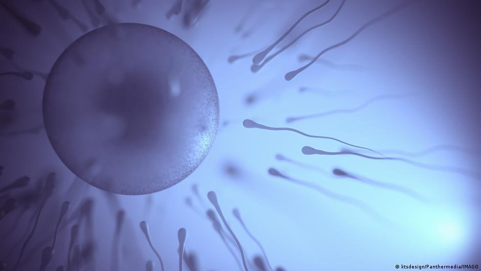 Male infertility is 'grossly underreported'