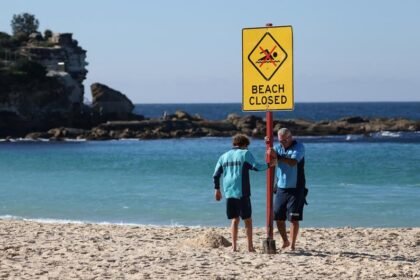 Australia: Man killed in shark attack near Perth