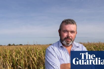‘We can’t ride this storm’: the English farmers facing uncertainty after sustainability funding runs dry
