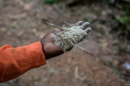 Nigeria: At least 37 suspected illegal miners die in custody