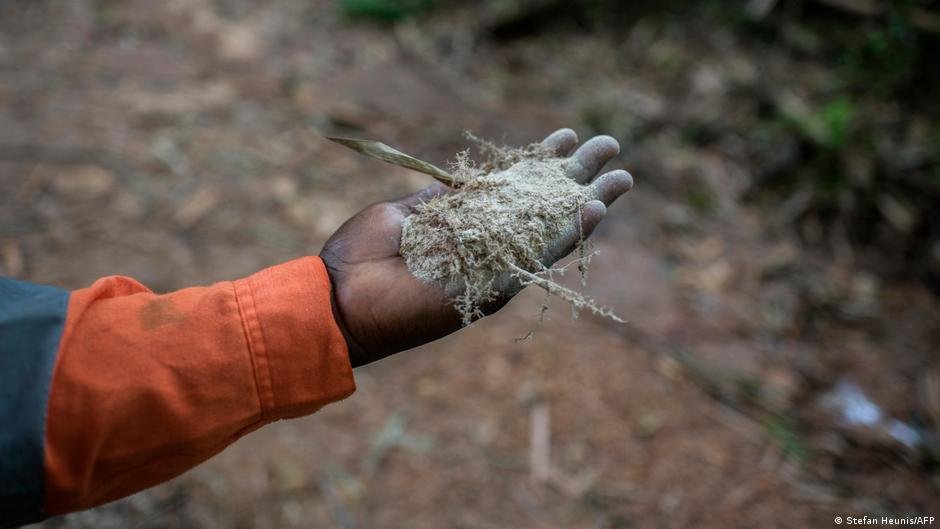 Nigeria: At least 37 suspected illegal miners die in custody